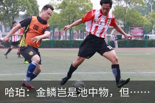 哈珀：金鳞岂是池中物，但……